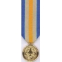 Anodized Mini Inherent Resolve Campaign Medal